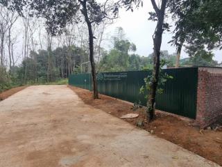 Cần tiền bán cắt lỗ  779m2 thổ cư tặng 216m2 lưu không  cán khê nguyên khê mt 21 ô tô tránh nhau