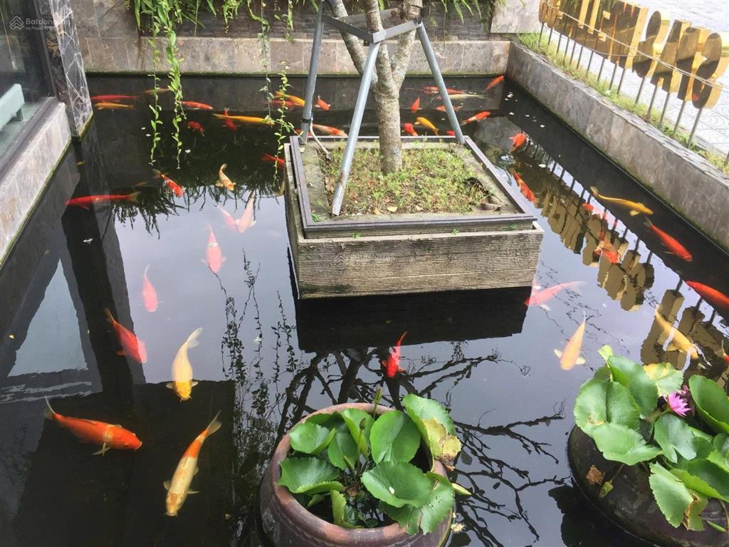 Bán toà nhà 6 tầng 36 phòng spa mặt tiền đường lê văn lương. view biển và núi. giá đầu tư