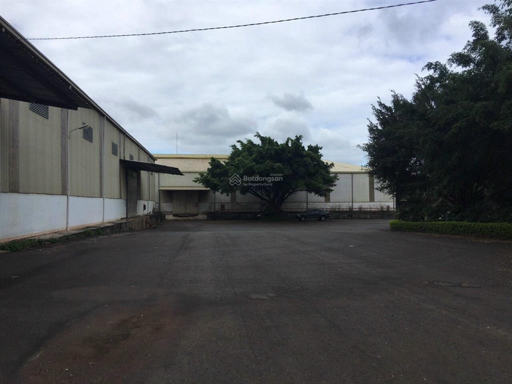 Bán gấp kho, nhà xưởng tại kcn tân an, phường tân an, tp. buôn ma thuột, 70 tỷ, 23218 m2