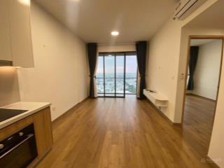 Cho thuê căn hộ akari city phase 2  2pn 2wc  nội thất cơ bản  giá 9,5 triệu/tháng