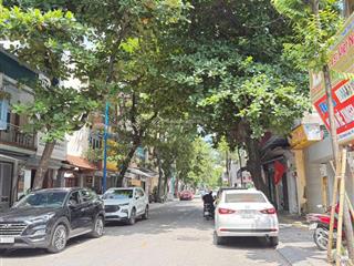 Bán đất mặt phố quang trung, tphải dương, giá 65tr, 136,8m2, mt 4.95m đường 21.m  0979 020 ***