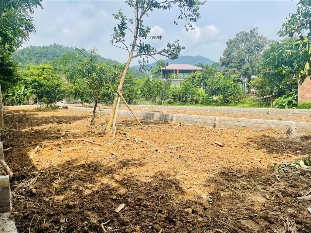 Đất đầu tư nghỉ dưỡng tại thôn chóng yên bài ba vì hà nội