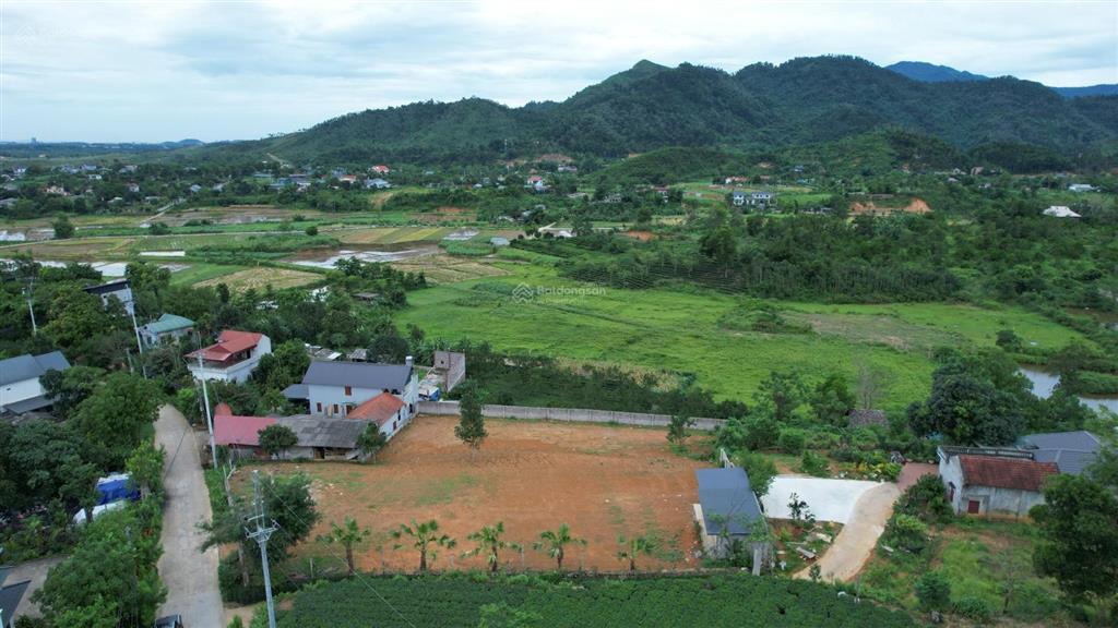 Đất nghỉ dưỡng đầu tư tại yên bài, ba vì view cánh đồng, view núi đẹp