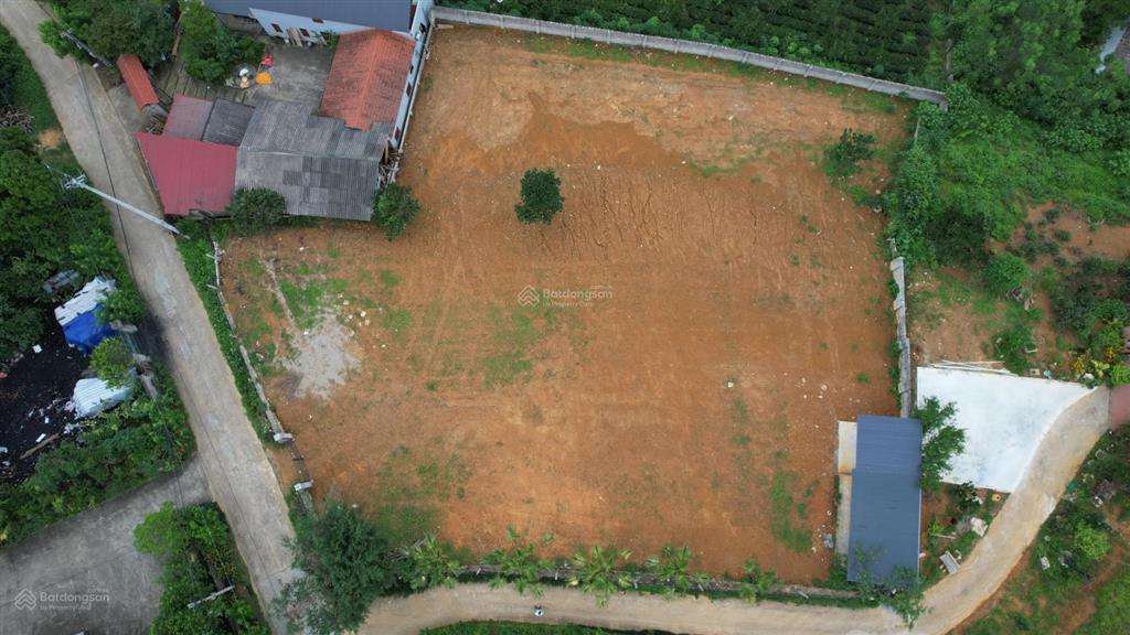 Đất nghỉ dưỡng đầu tư tại yên bài, ba vì view cánh đồng, view núi đẹp