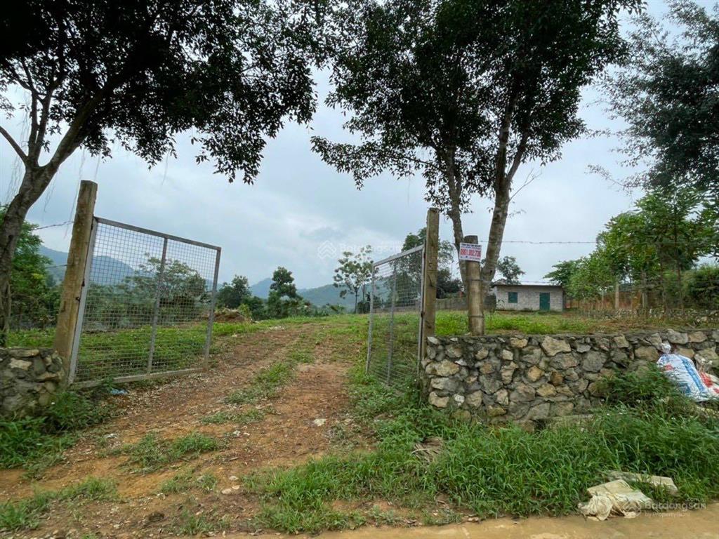 Đất nghỉ dưỡng đầu tư tại yên bài, ba vì view cánh đồng, view núi đẹp