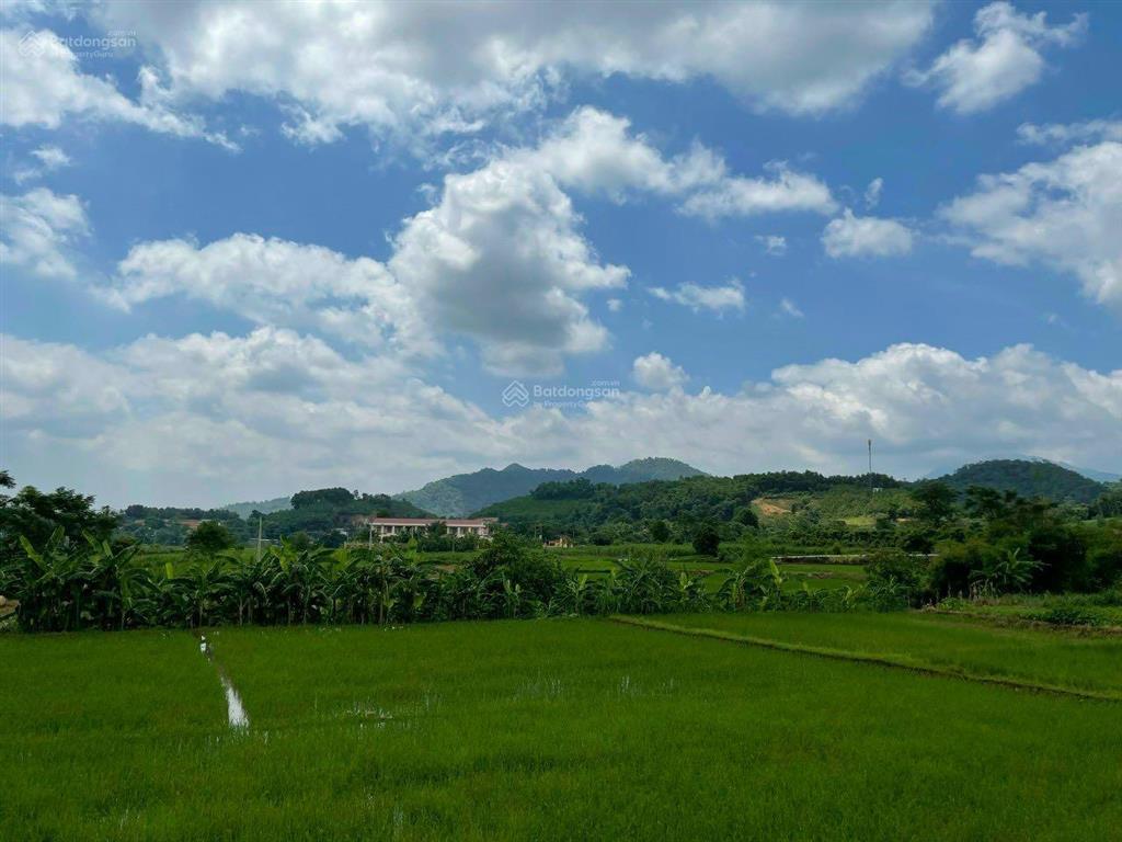 Đất nghỉ dưỡng đầu tư tại yên bài, ba vì view cánh đồng, view núi đẹp