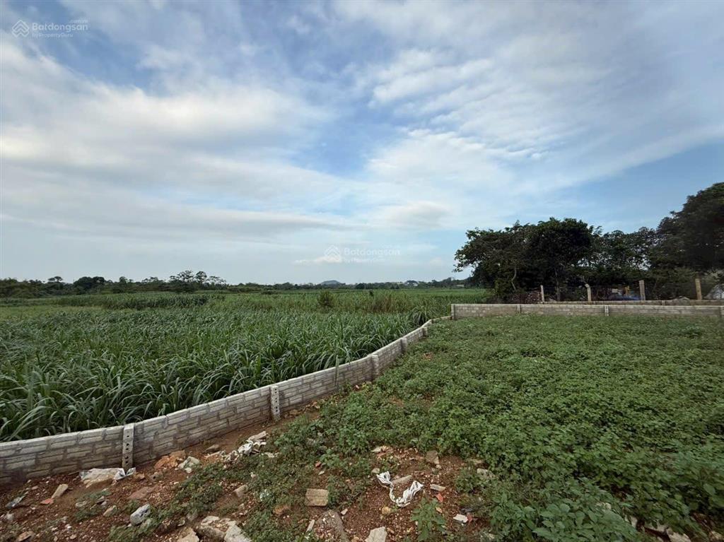 Đất nghỉ dưỡng đầu tư view cánh đồng tại vân hòa, ba vì, hà nội