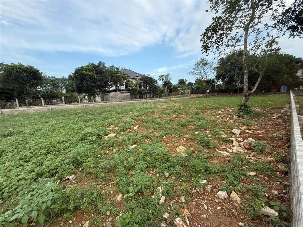 Đất nghỉ dưỡng đầu tư view cánh đồng tại vân hòa, ba vì, hà nội