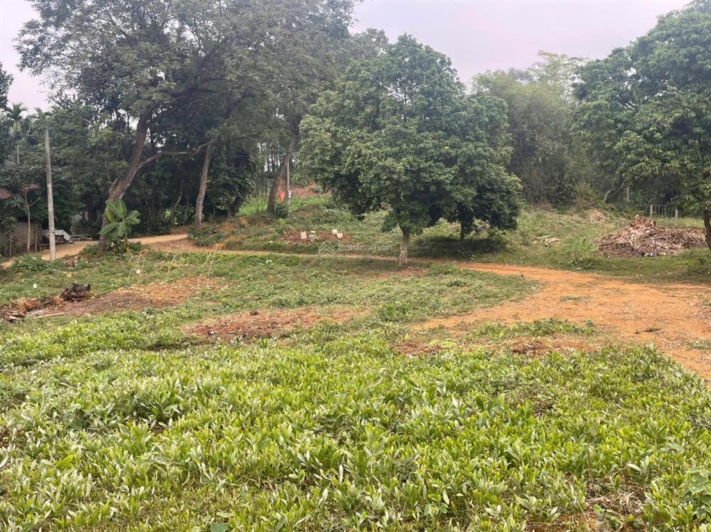 Đất đầu tư nghỉ dưỡng tại vân hoà ba vì view núi tản cực đẹp, phù hợp xây khu nghỉ dưỡng home stay