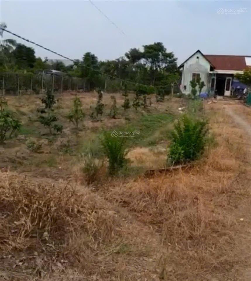 Chính chủ bán lô đất mt đường lộ dừa 39x72 giá 5,3 tỷ tl mạnh ạ có thổ hơn 2500m  0901 600 *** ph