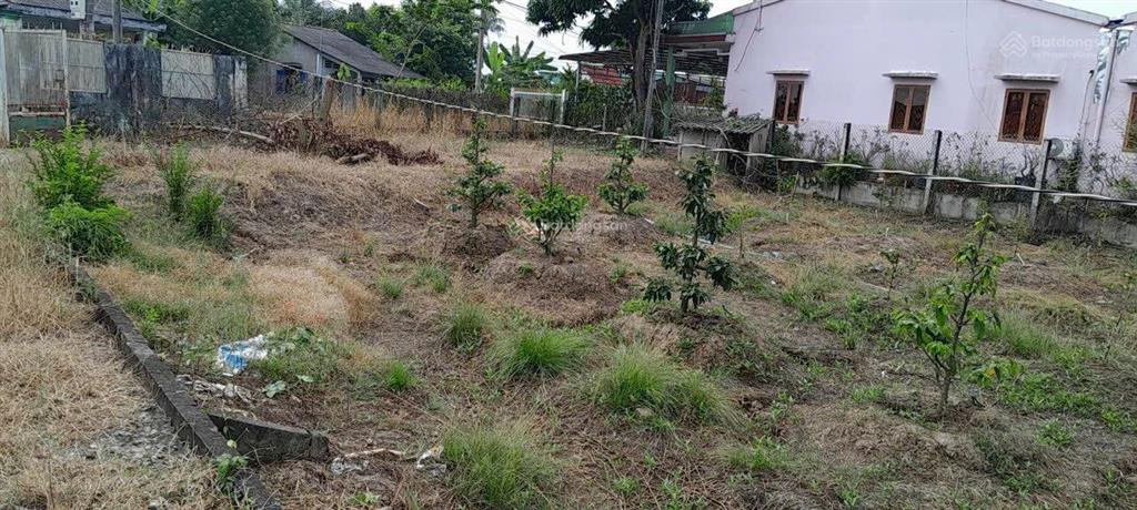 Chính chủ bán lô đất mt đường lộ dừa 39x72 giá 5,3 tỷ tl mạnh ạ có thổ hơn 2500m  0901 600 *** ph