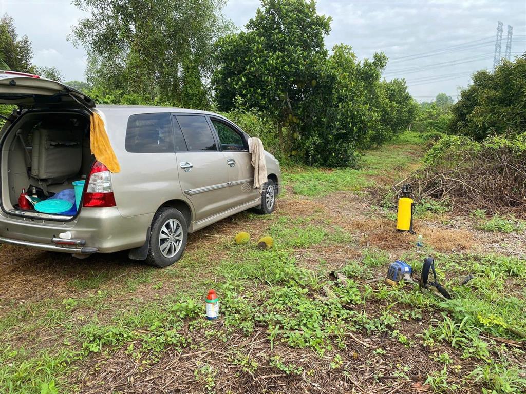 Chính chủ bán 2.938,5 m2 đất trồng cây lâu năm xã bình mỹ (trung an cũ), h. củ chi, tp. hồ chí minh