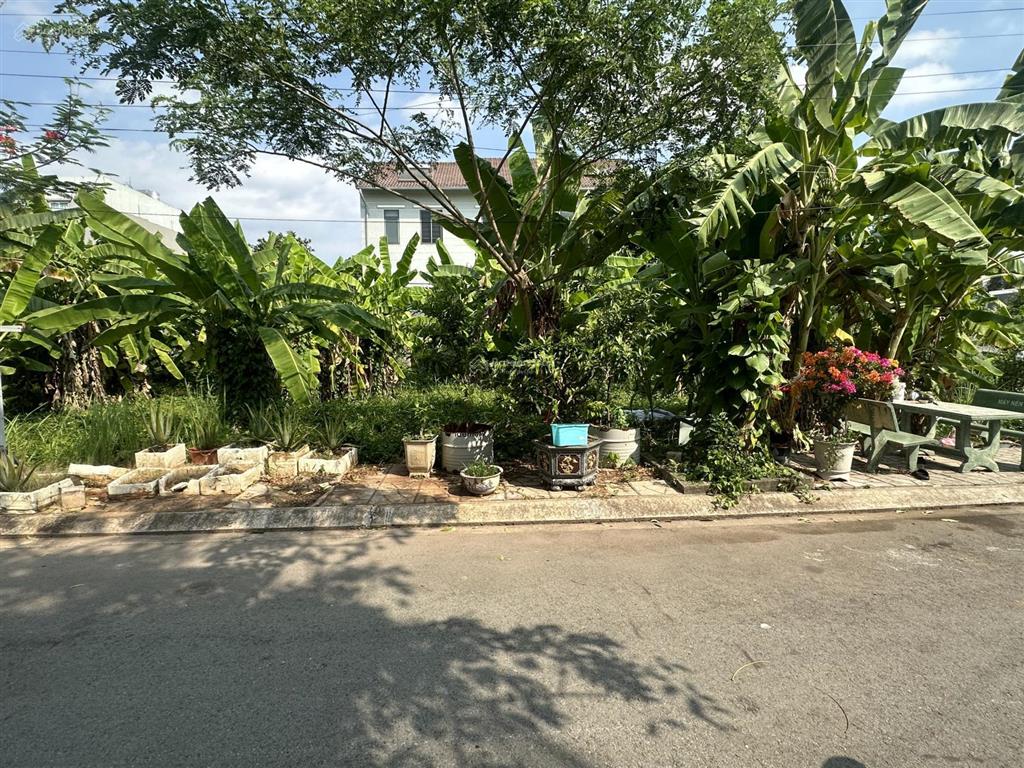 Cần bán lô đẹp dự án đảo thịnh vượng đường tam đa 4x15.5 62.1m2 giá 3.3 tỷ rẻ nhất dự án kế bên bcr