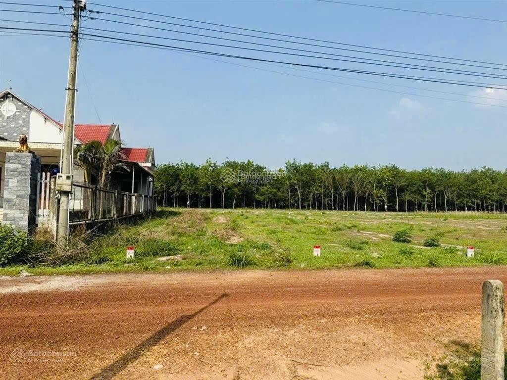 Bán gấp lô đất đường lò rèn, xã long hòa, dầu tiếng, 9200m2, giá 4,2tr/m2
