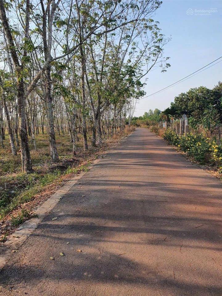 Bán đất đường lò rèn, long hòa, 4,5tr/m2, 3100m2 view đẹp hot!