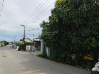 784tr đất dân cắt bán, cách hương lộ 45 chỉ 50m.