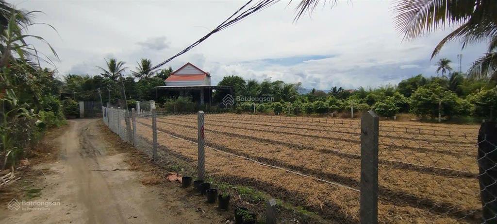 784tr đất dân cắt bán, cách hương lộ 45 chỉ 50m.