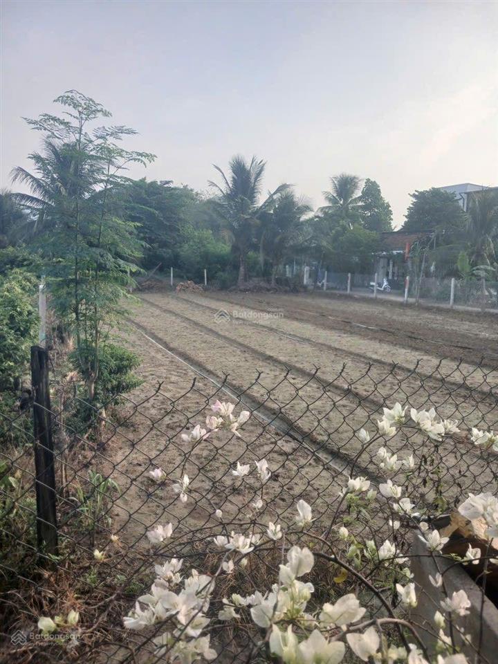 784tr đất dân cắt bán, cách hương lộ 45 chỉ 50m.