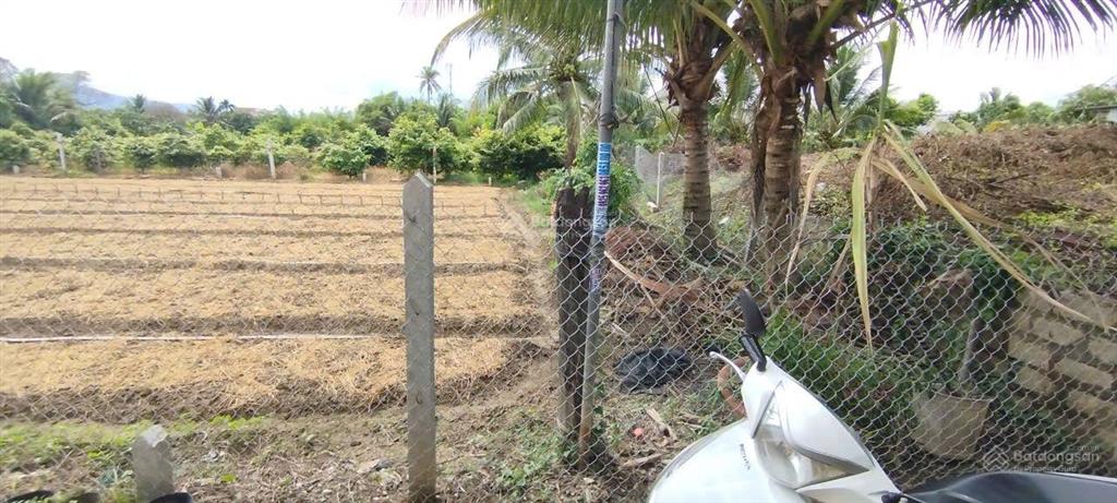 784tr đất dân cắt bán, cách hương lộ 45 chỉ 50m.