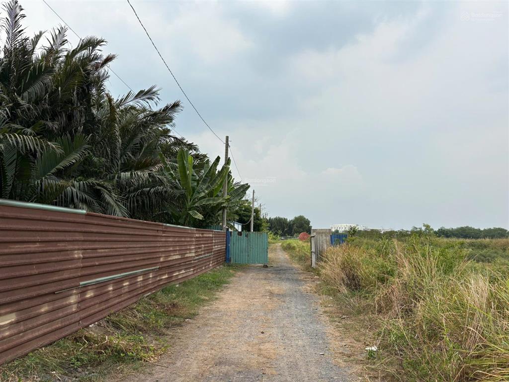 6000m. siêu rẻ. hxh đường bưng ông thoàn. phú hữu. quận 9.