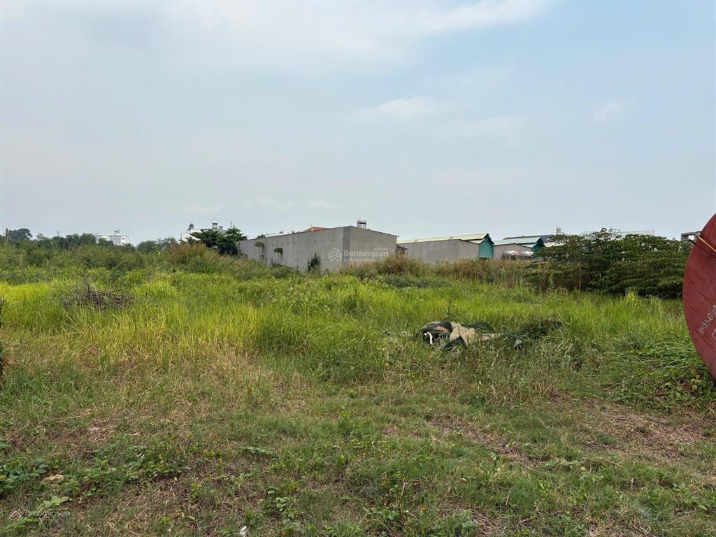 6000m. siêu rẻ. hxh đường bưng ông thoàn. phú hữu. quận 9.