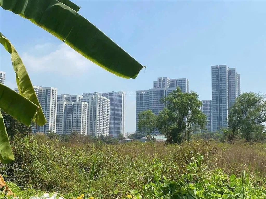 Hàng ngộp. siêu rẻ. hxh đường số 21. nguyễn xiển. long thạnh mỹ. quận 9.