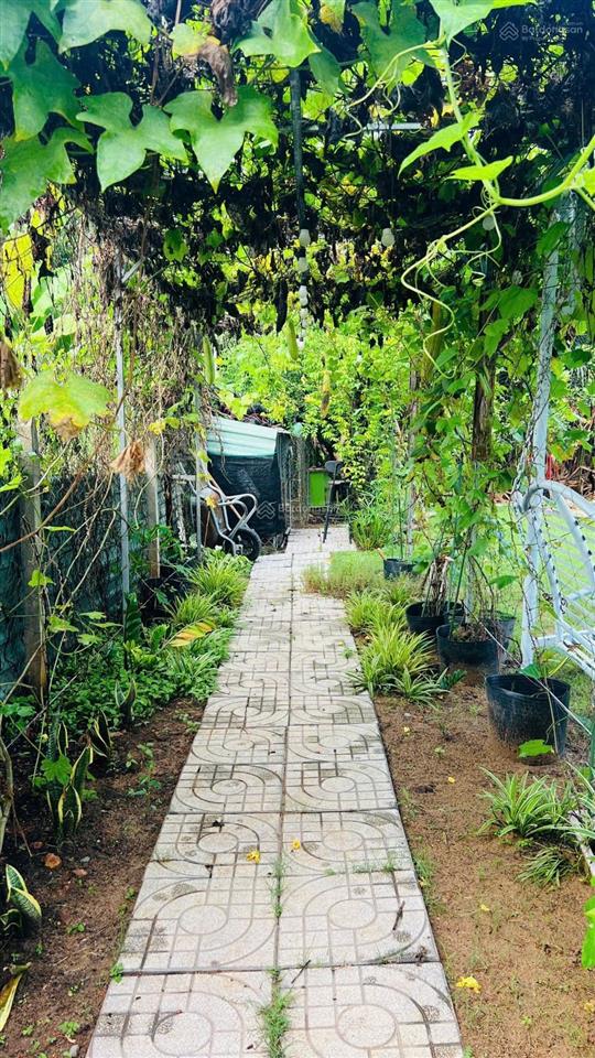 Hàng ngộp. siêu rẻ. hxh đường số, long phước, quận 9