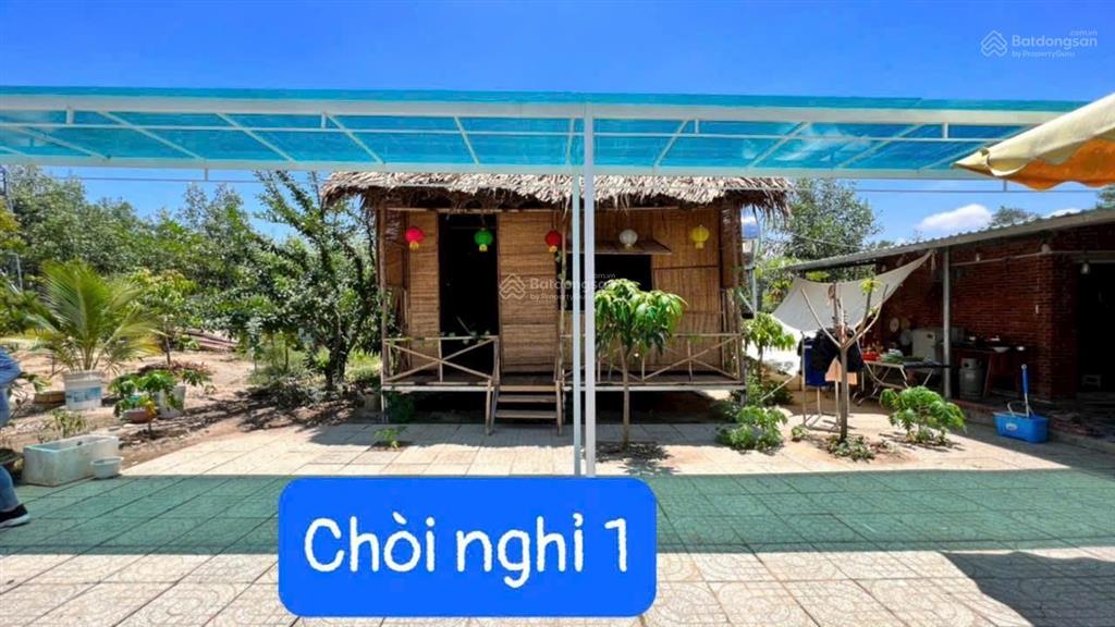 Nhà vườn lộc an  đất đỏ  brvt. dt 1.537m2 (2065) có 2 nhà di động  2 chói  cây cảnh thác nước.