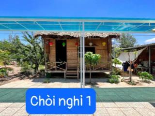 Nhà vườn lộc an  đất đỏ  brvt. dt 1.537m2 (2065) có 2 nhà di động  2 chói  cây cảnh thác nước.