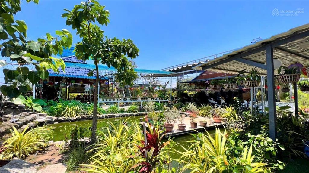 Nhà vườn lộc an  đất đỏ  brvt. dt 1.537m2 (2065) có 2 nhà di động  2 chói  cây cảnh thác nước.