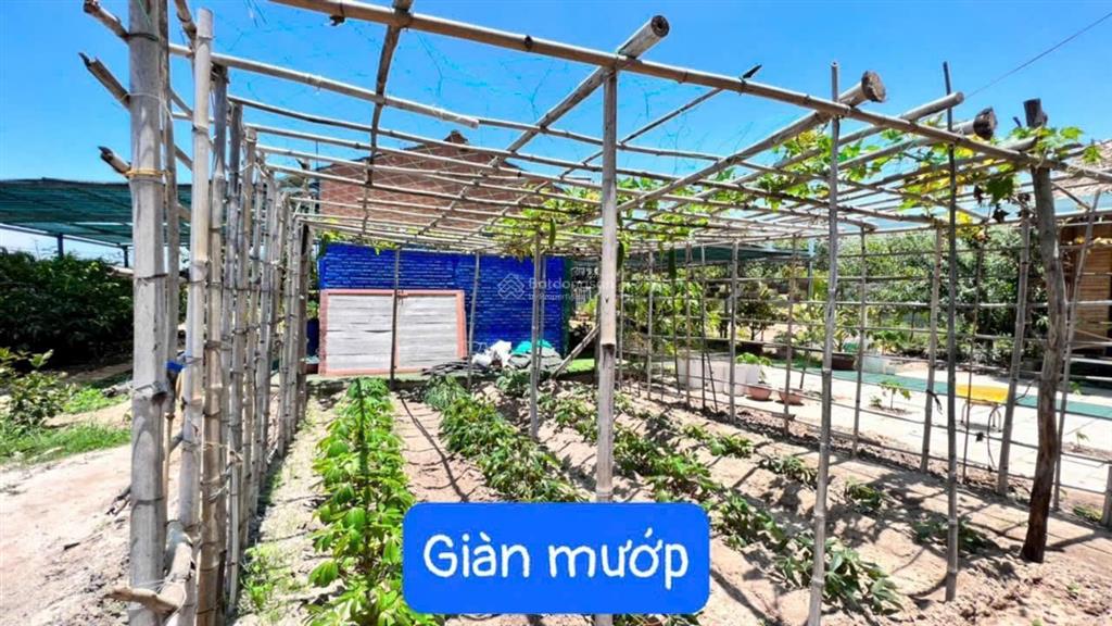Nhà vườn lộc an  đất đỏ  brvt. dt 1.537m2 (2065) có 2 nhà di động  2 chói  cây cảnh thác nước.