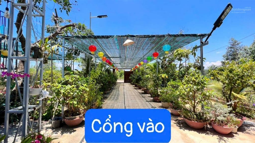 Nhà vườn lộc an  đất đỏ  brvt. dt 1.537m2 (2065) có 2 nhà di động  2 chói  cây cảnh thác nước.