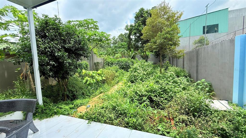 Sốc! nhà vườn mái thái giảm ngay 400 triệu chỉ còn 3,8 tỷ
