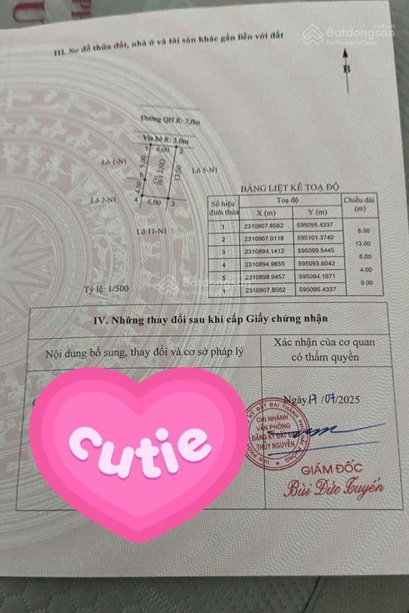 Giảm giá cực sâu lô đất đấu giá bãi ngoài hoa động