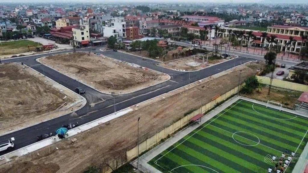 Giảm giá cực sâu lô đất đấu giá bãi ngoài hoa động