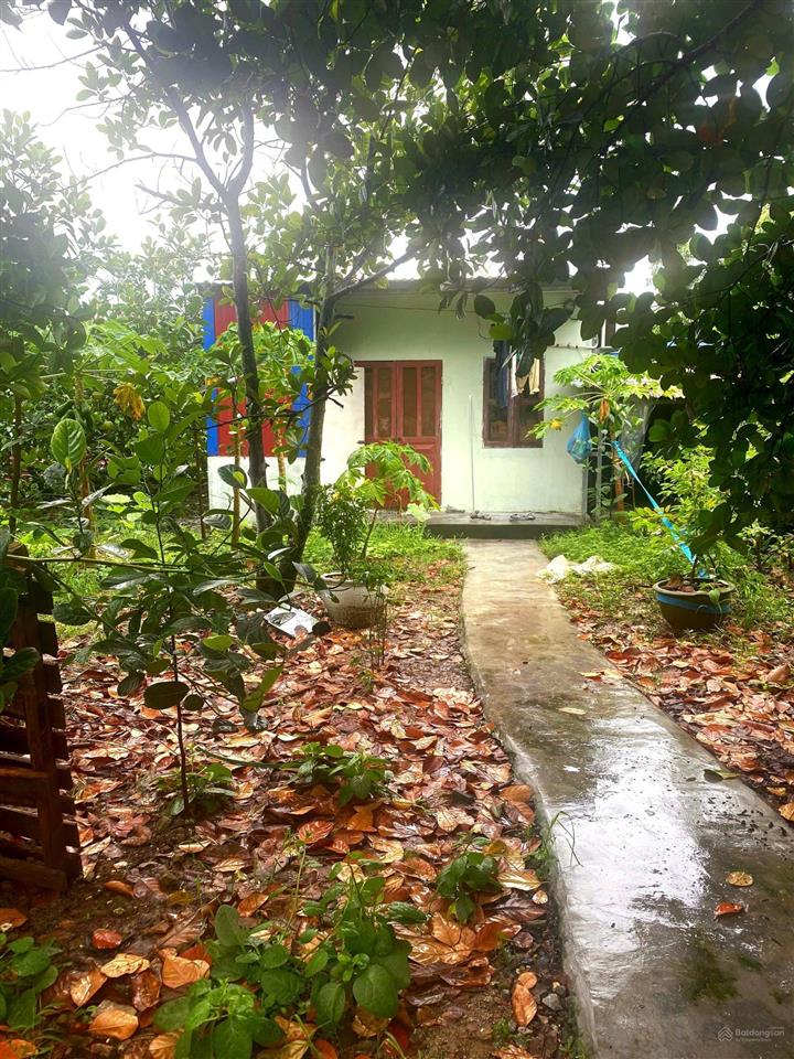 Cần bán 120m2 (đất sổ đỏ + đất xen kẹt) ngõ ô tô. tại hoàng động, thủy nguyên. cách trục đường thôn