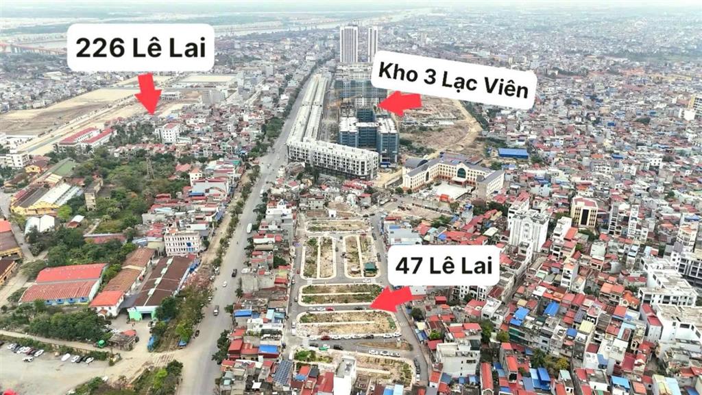 Hàng hiếm khó tìm hiếm có lô đấu giá lê lai. không phải cứ có tiền là mua được vì cả khu c