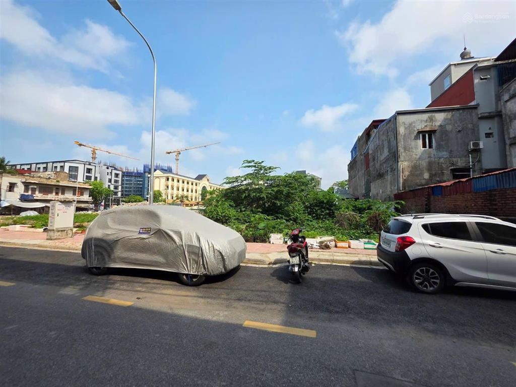 Hàng hiếm khó tìm hiếm có lô đấu giá lê lai. không phải cứ có tiền là mua được vì cả khu c