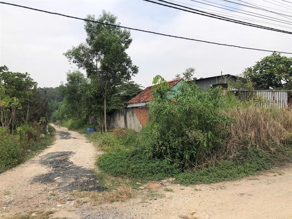 Gia đình em cần bán gấp 5 sào có thổ cư kế đường song hành cao tốc biên hòa vũng tàu