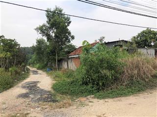 Gia đình em cần bán gấp 5 sào có thổ cư kế đường song hành cao tốc biên hòa vũng tàu