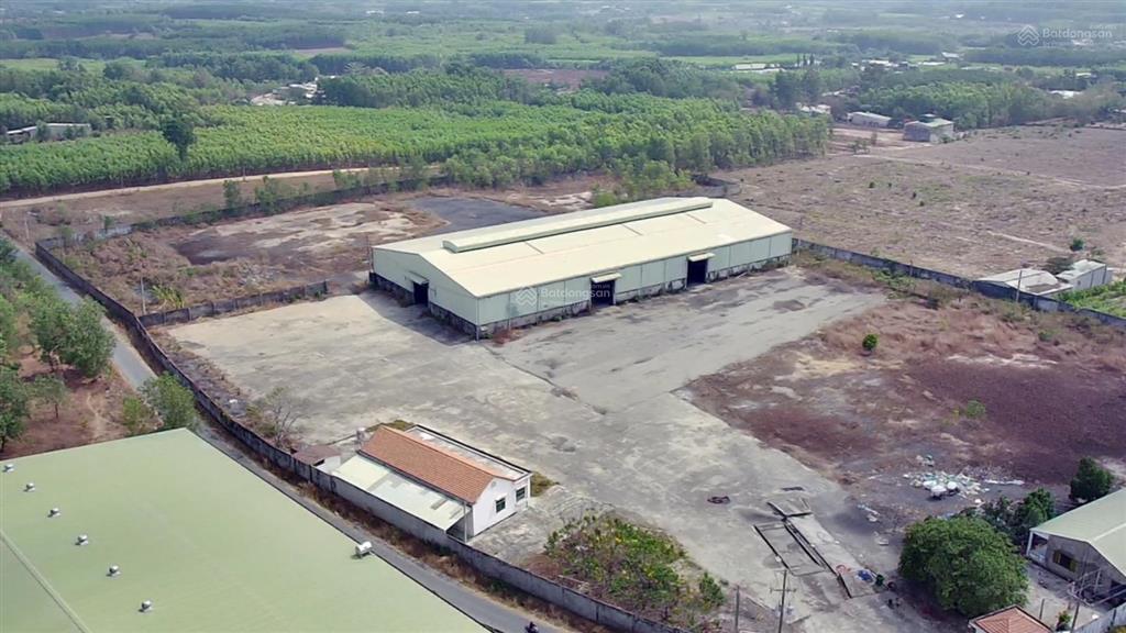 Mảnh đất phù hợp làm dự án nhà ở thương mại rộng gần 7ha xã phước bình đối diện khu công nghiệp b1