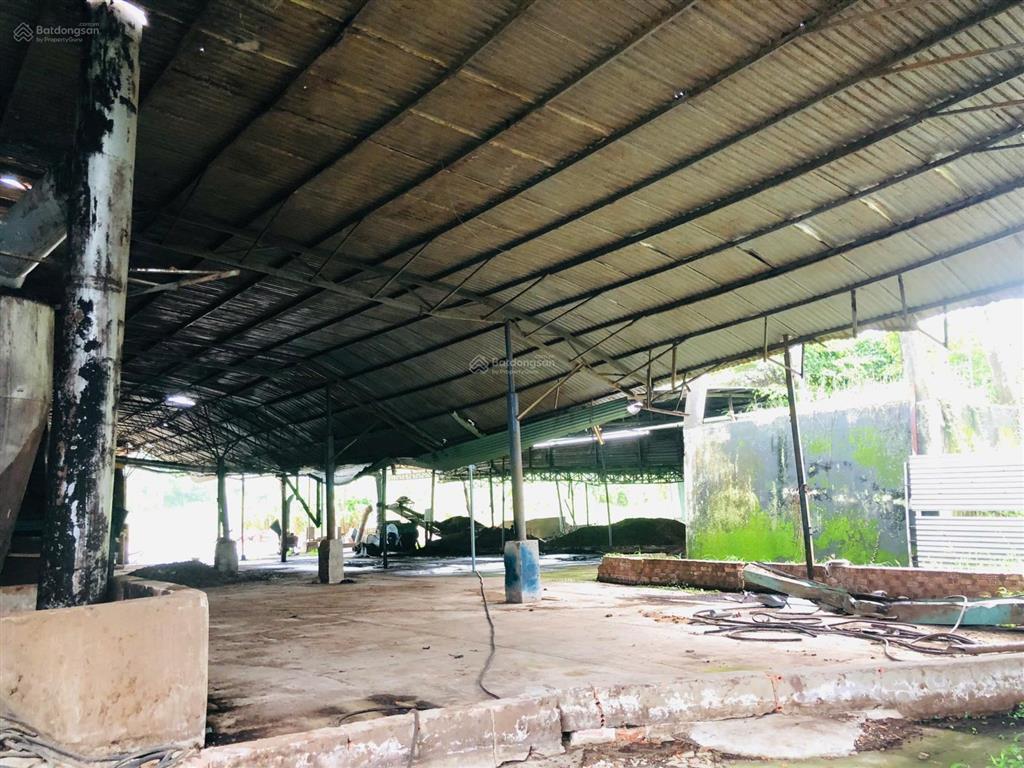 Chính chủ cần bán đất, quy hoạch full skc mặt tiền đường phước bình cách lộ 51 10km