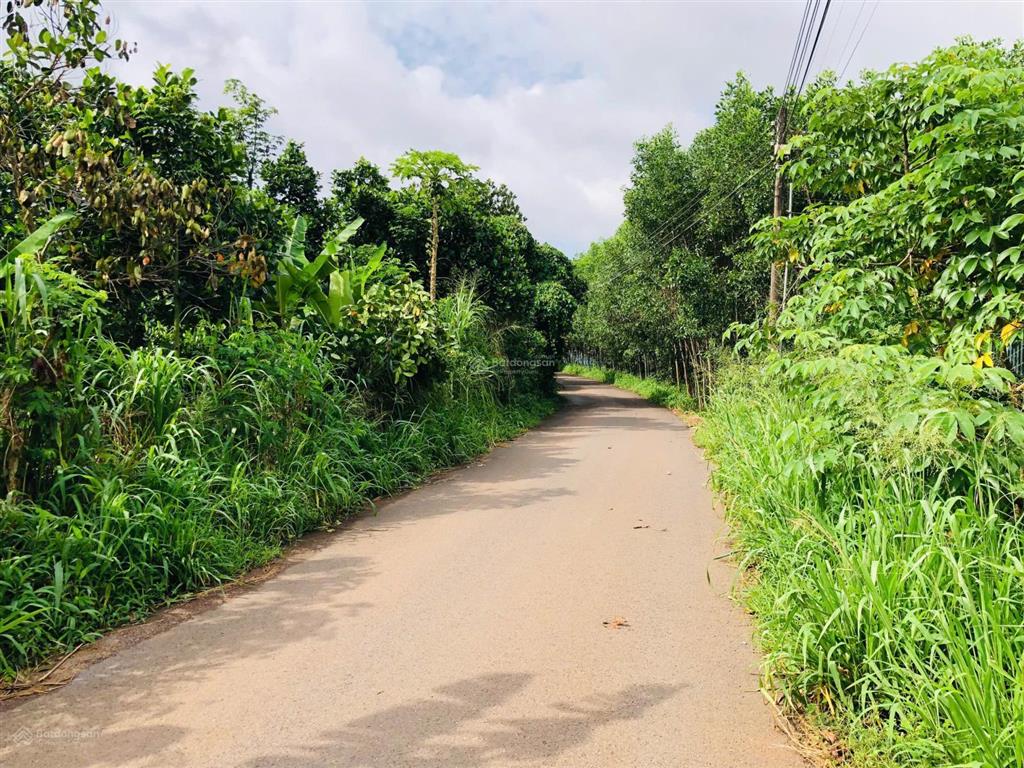 Giá chỉ hơn 6 trăm, 1 nền đất ở giáp sân bay long thành có sẵn sổ đỏ