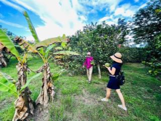 Bán lô vườn cây ăn quả mặt tiền tỉnh lộ 2, diên thọ, giá 3 tỷ/lô quy hoạch full thổ