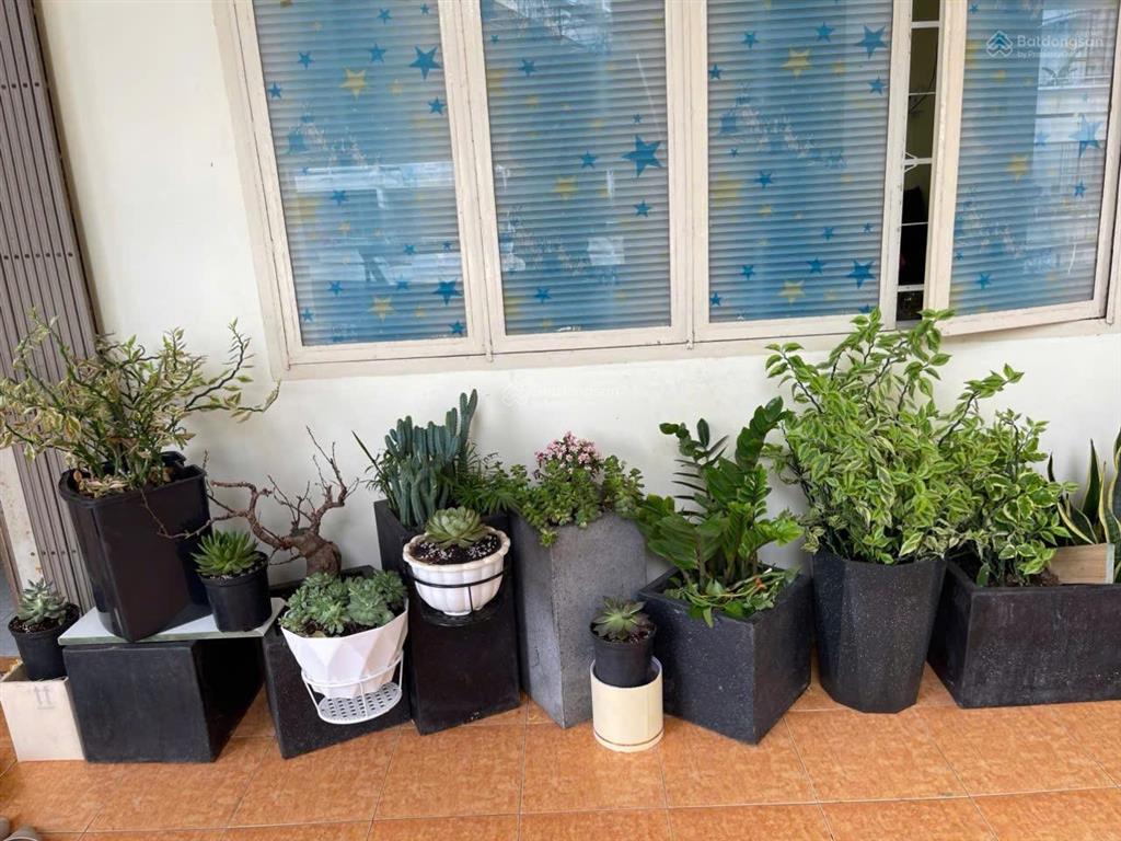 Căn hộ trung tâm chợ đầm nha trang sổ đỏ sẵn chỉ 2,6 tỷ