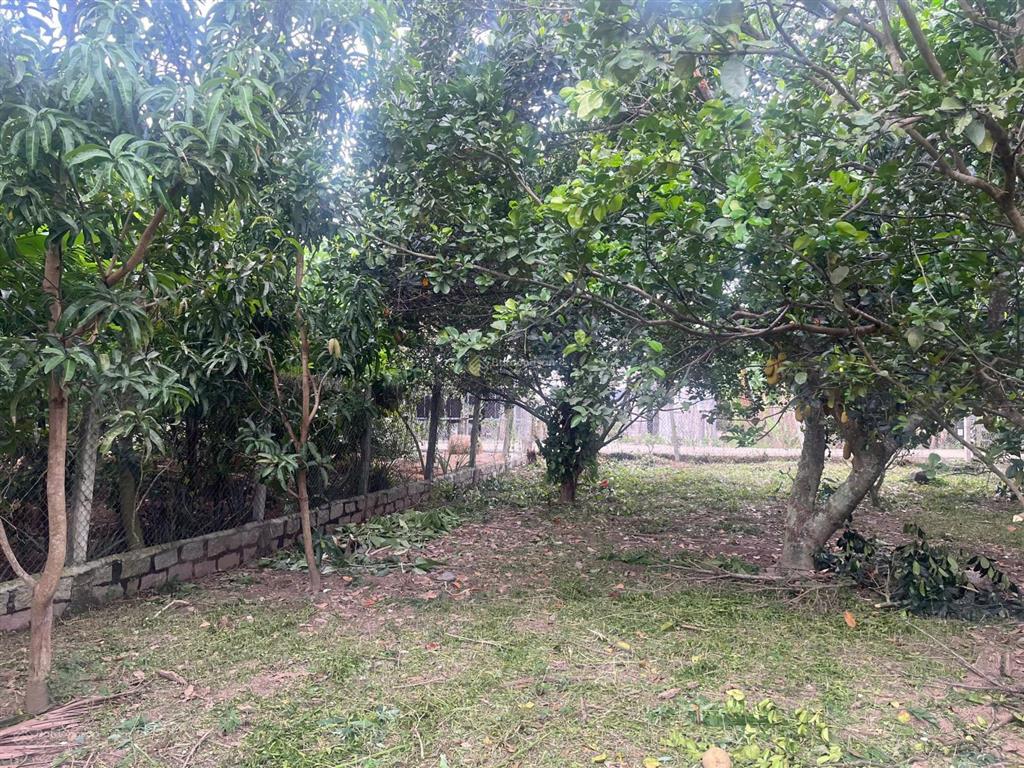Chỉ 2 tỷ sở hữu 335,6m đất thổ cư sẵn vườn bưởi, mít, dừa ô tô tận đất suối hiệp, diên khánh