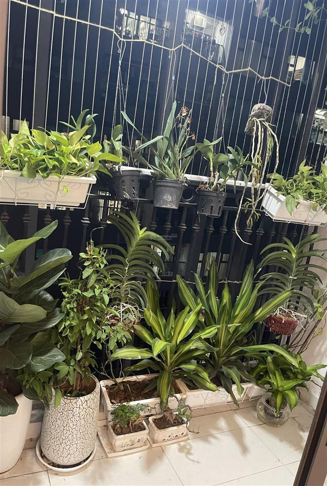 Bán căn 74m2 (2ngủ 2vs)cfull nội thất,sẵn sổ chung cư terra an hưng giá chỉ 4.9t, 0975 645 ***