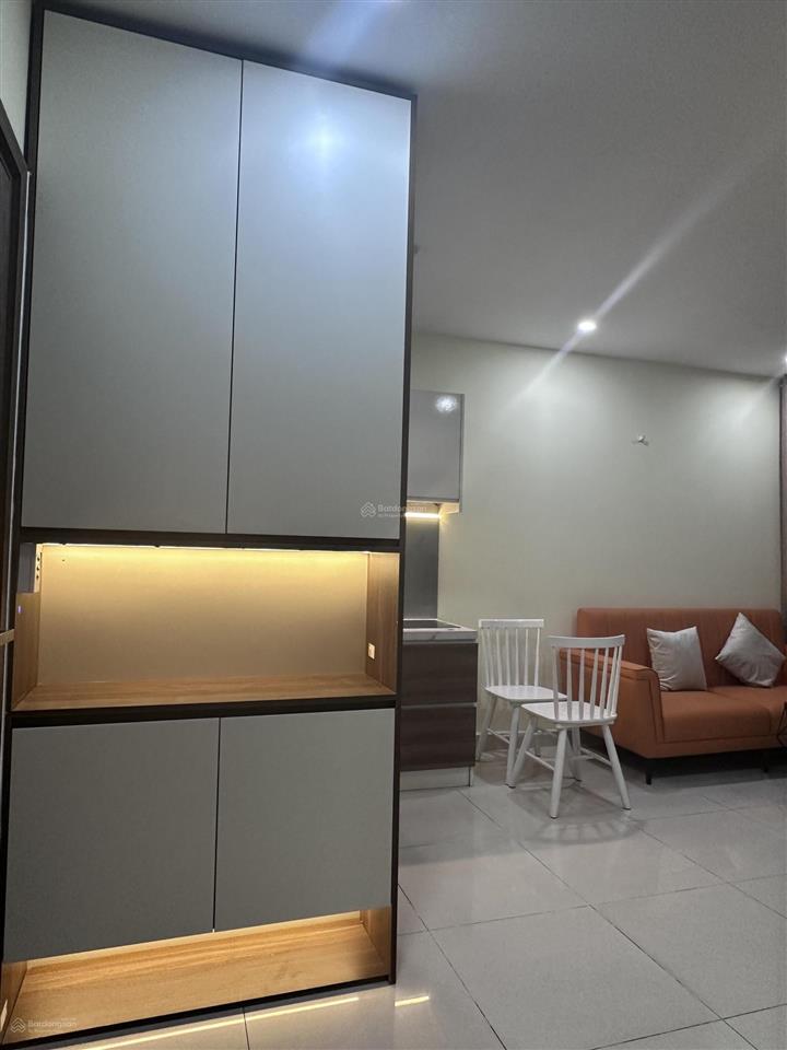 Cho thuê cc 1pn goldora plaza, 10 triệu vnd, 48m2 view đẹp