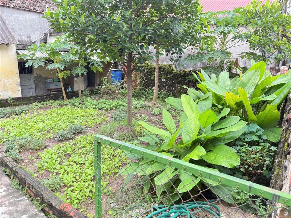 Chính chủ bán lô đất tại chùa thầy, quốc oai