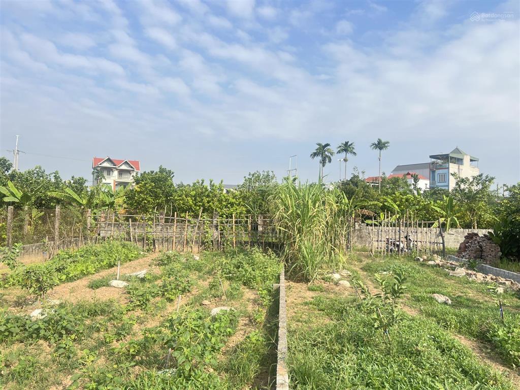 Đất vườn xen kẹt dân cư khu chùa thầy, quốc oai xung quanh có nhà vườn nhà xưởng hiện hữu